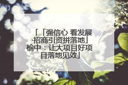 「强信心 看发展·招商引资拼落地」榆中：让大项目好项目落地见效