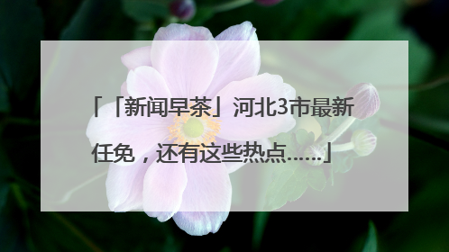 「新闻早茶」河北3市最新任免，还有这些热点……