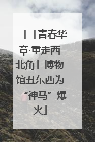 「青春华章·重走西北角」博物馆丑东西为“神马”爆火
