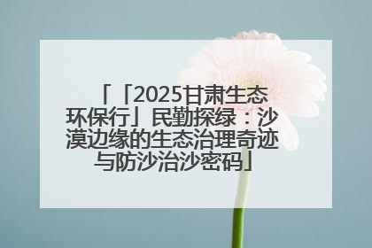 「2025甘肃生态环保行」民勤探绿：沙漠边缘的生态治理奇迹与防沙治沙密码