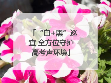 “白+黑”巡查 全方位守护高考声环境