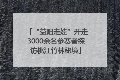 “益阳走娃”开走 3000余名参赛者探访桃江竹林秘境