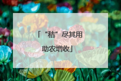 “秸”尽其用 助农增收