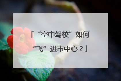 “空中驾校”如何“飞”进市中心？