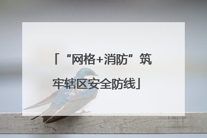 “网格+消防”筑牢辖区安全防线