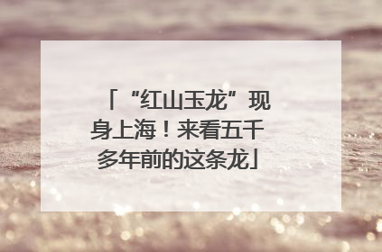“红山玉龙”现身上海！来看五千多年前的这条龙