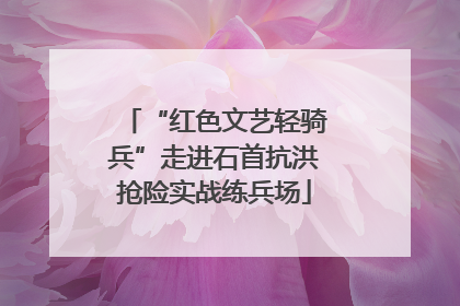 “红色文艺轻骑兵”走进石首抗洪抢险实战练兵场