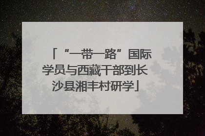 “一带一路”国际学员与西藏干部到长沙县湘丰村研学