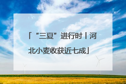 “三夏”进行时丨河北小麦收获近七成