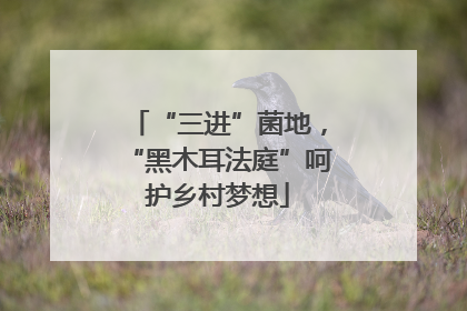 “三进”菌地，“黑木耳法庭”呵护乡村梦想
