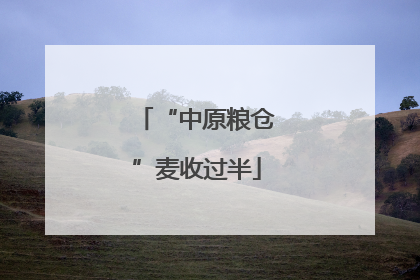 “中原粮仓”麦收过半