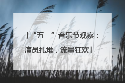 “五一”音乐节观察：演员扎堆，流量狂欢