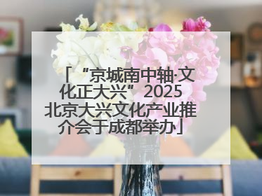 “京城南中轴·文化正大兴”2025北京大兴文化产业推介会于成都举办