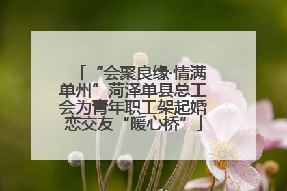 “会聚良缘·情满单州”菏泽单县总工会为青年职工架起婚恋交友“暖心桥”