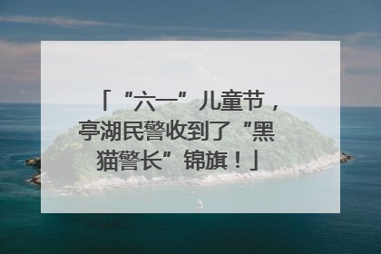 “六一”儿童节，亭湖民警收到了“黑猫警长”锦旗！