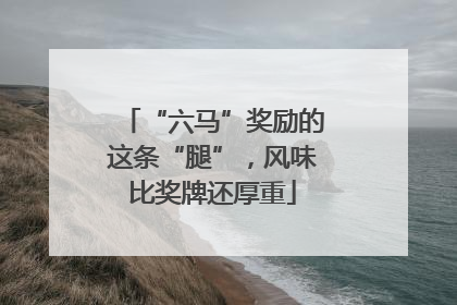 “六马”奖励的这条“腿”，风味比奖牌还厚重