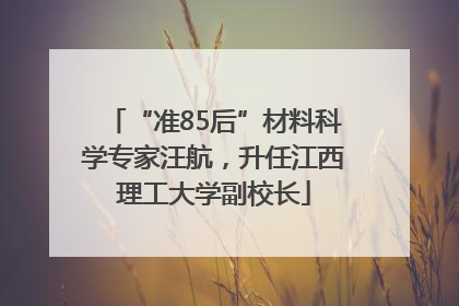 “准85后”材料科学专家汪航，升任江西理工大学副校长