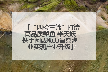 “四检三筛”打造高品质鲈鱼 半天妖携手闽威助力福鼎渔业实现产业升级