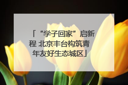 “学子回家”启新程 北京丰台构筑青年友好生态城区