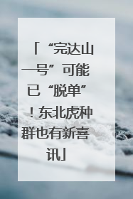 “完达山一号”可能已“脱单”！东北虎种群也有新喜讯