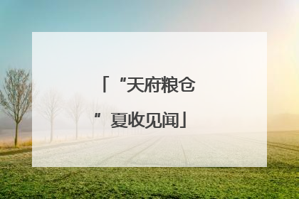 “天府粮仓”夏收见闻