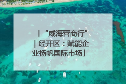 “威海营商行”｜经开区：赋能企业扬帆国际市场