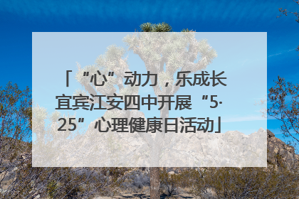 “心”动力，乐成长 宜宾江安四中开展“5·25”心理健康日活动