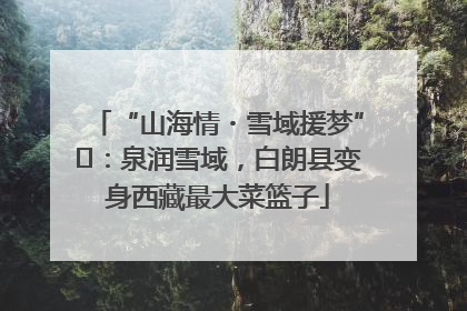 “山海情・雪域援梦”⑪：泉润雪域，白朗县变身西藏最大菜篮子