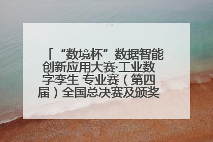 “数境杯”数据智能创新应用大赛·工业数字孪生 专业赛（第四届）全国总决赛及颁奖典礼成功举办