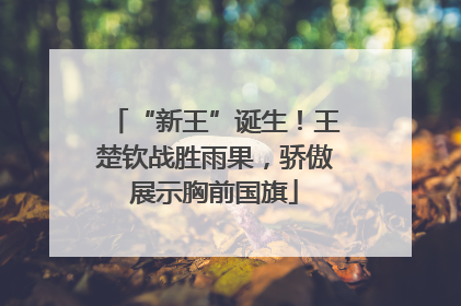 “新王”诞生！王楚钦战胜雨果，骄傲展示胸前国旗