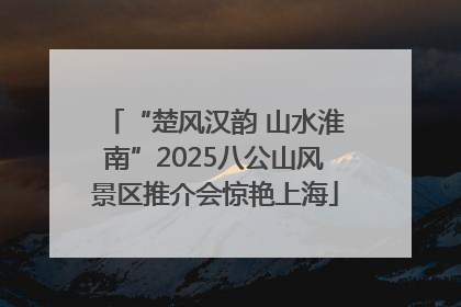 “楚风汉韵 山水淮南”2025八公山风景区推介会惊艳上海