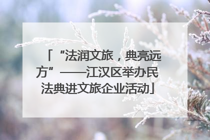 “法润文旅，典亮远方”——江汉区举办民法典进文旅企业活动