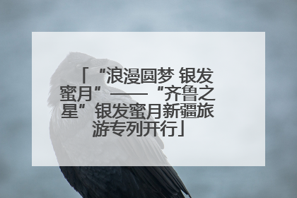 “浪漫圆梦 银发蜜月”——“齐鲁之星”银发蜜月新疆旅游专列开行
