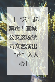 “艺”起禁毒！宜城公安这场禁毒文艺演出“声”入人心