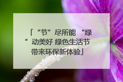 “节”尽所能 “绿”动美好 绿色生活节带来环保新体验