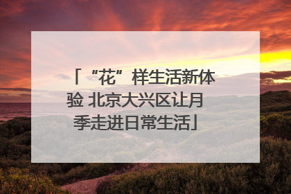 “花”样生活新体验 北京大兴区让月季走进日常生活