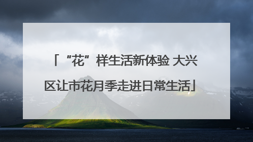 “花”样生活新体验 大兴区让市花月季走进日常生活
