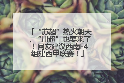 “苏超”热火朝天，“川超”也要来了！网友建议西南F4组建西甲联赛！