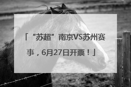 “苏超”南京VS苏州赛事，6月27日开票！