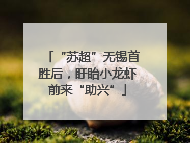 “苏超”无锡首胜后，盱眙小龙虾前来“助兴”