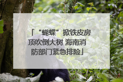 “蝴蝶”掀铁皮房顶吹倒大树 海南消防部门紧急排险