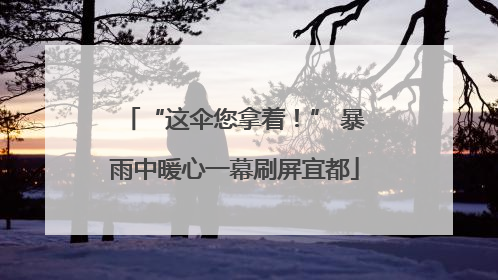 “这伞您拿着！” 暴雨中暖心一幕刷屏宜都