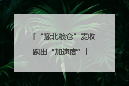 “豫北粮仓”麦收跑出“加速度”