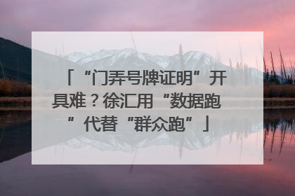“门弄号牌证明”开具难？徐汇用“数据跑”代替“群众跑”