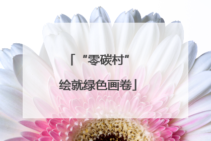 “零碳村” 绘就绿色画卷