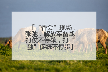 “香会”现场，张弛：解放军备战打仗不停歇，打“独”促统不停步
