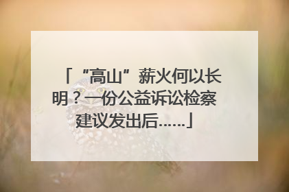“高山”薪火何以长明？一份公益诉讼检察建议发出后……