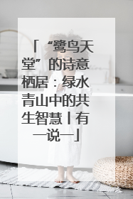 “鹭鸟天堂”的诗意栖居：绿水青山中的共生智慧丨有一说一