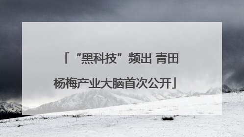 “黑科技”频出 青田杨梅产业大脑首次公开