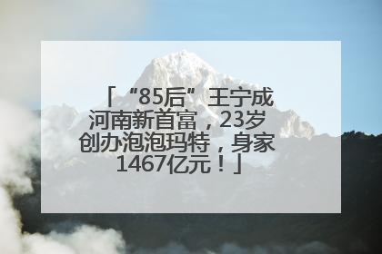 “85后”王宁成河南新首富，23岁创办泡泡玛特，身家1467亿元！